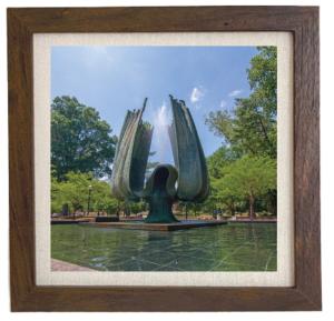 MU Neil Fountain Framed Print